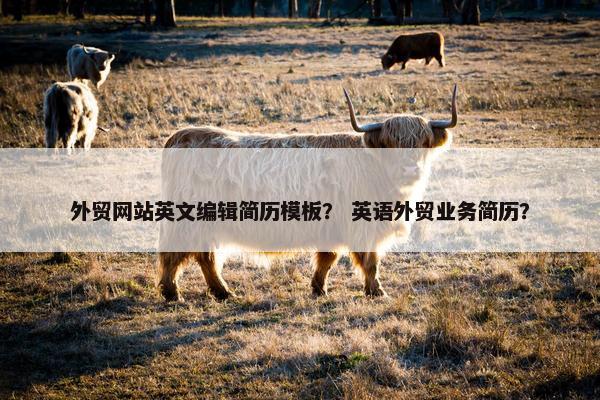 外贸网站英文编辑简历模板？ 英语外贸业务简历？
