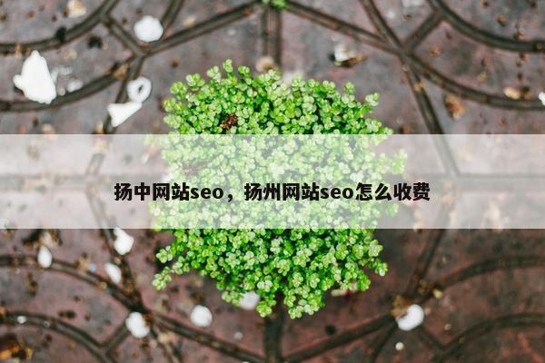扬中网站seo，扬州网站seo怎么收费