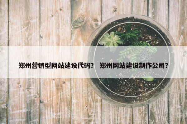 郑州营销型网站建设代码？ 郑州网站建设制作公司？