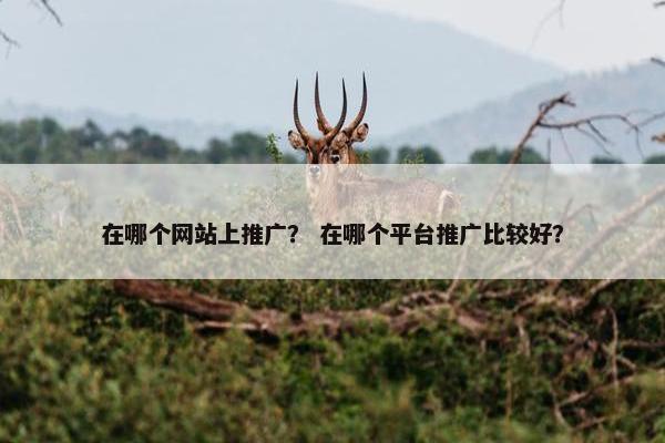 在哪个网站上推广？ 在哪个平台推广比较好？