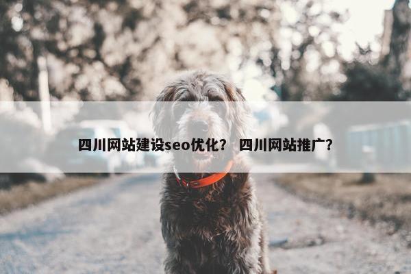 四川网站建设seo优化？ 四川网站推广？