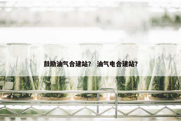鼓励油气合建站？ 油气电合建站？