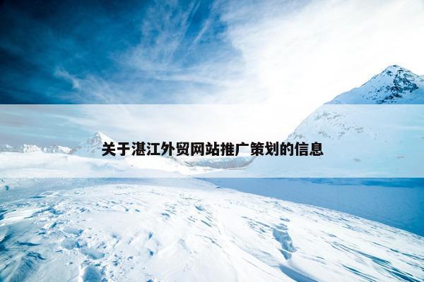关于湛江外贸网站推广策划的信息