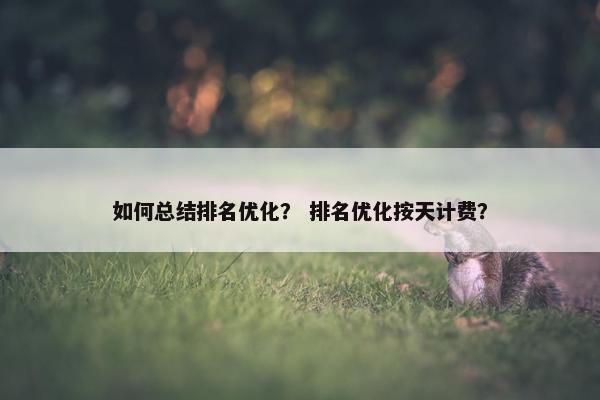 如何总结排名优化？ 排名优化按天计费？