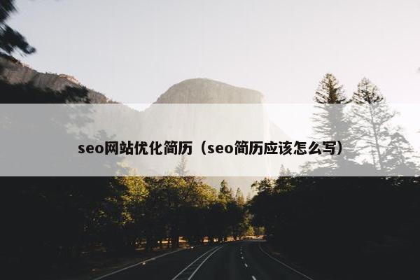 seo网站优化简历（seo简历应该怎么写）
