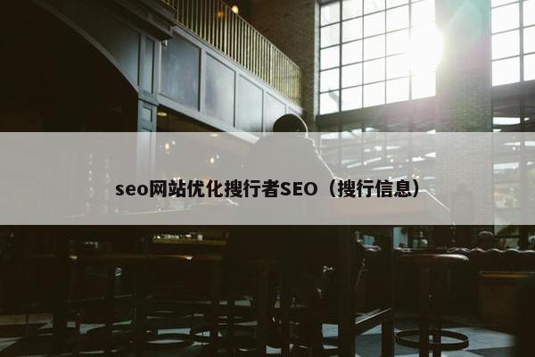 seo网站优化搜行者SEO（搜行信息）