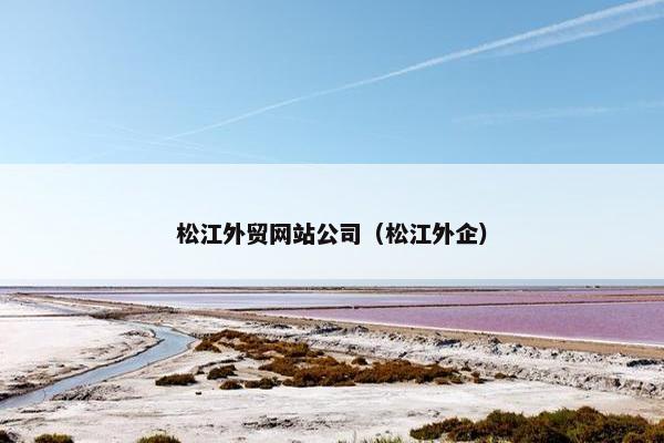 松江外贸网站公司（松江外企）