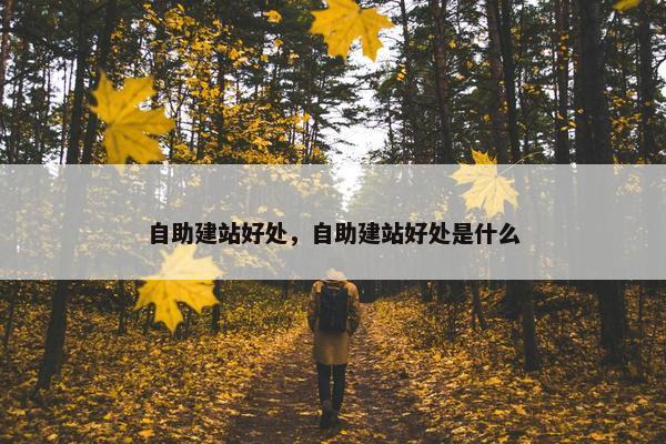 自助建站好处，自助建站好处是什么