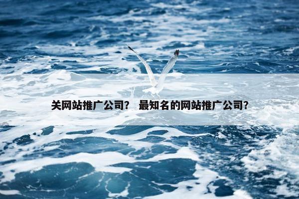 关网站推广公司？ 最知名的网站推广公司？