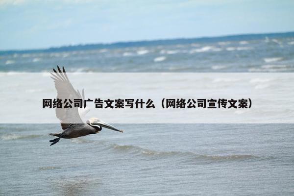 网络公司广告文案写什么（网络公司宣传文案）