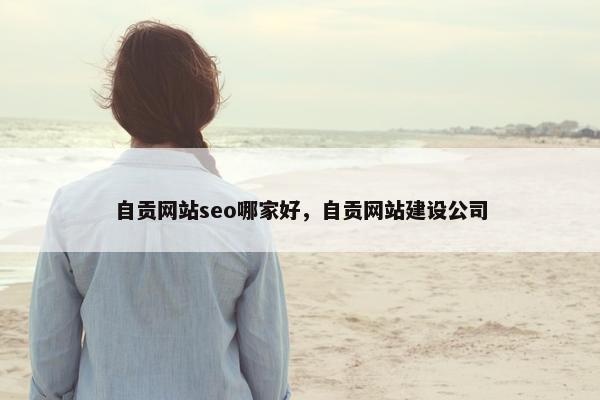 自贡网站seo哪家好，自贡网站建设公司