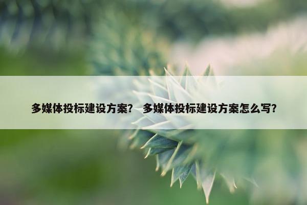 多媒体投标建设方案？ 多媒体投标建设方案怎么写？