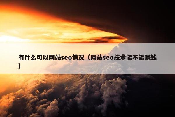 有什么可以网站seo情况（网站seo技术能不能赚钱）