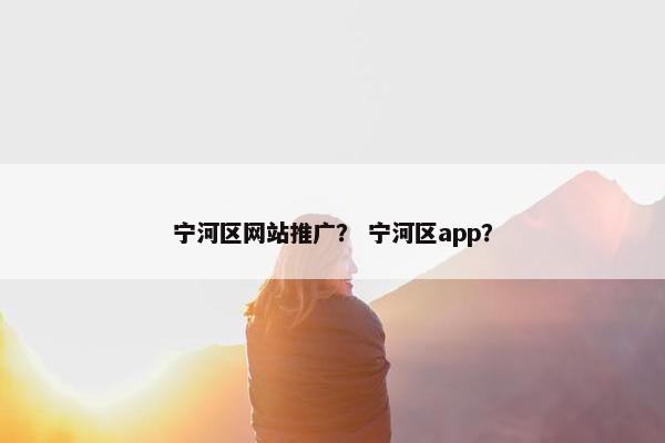 宁河区网站推广？ 宁河区app？