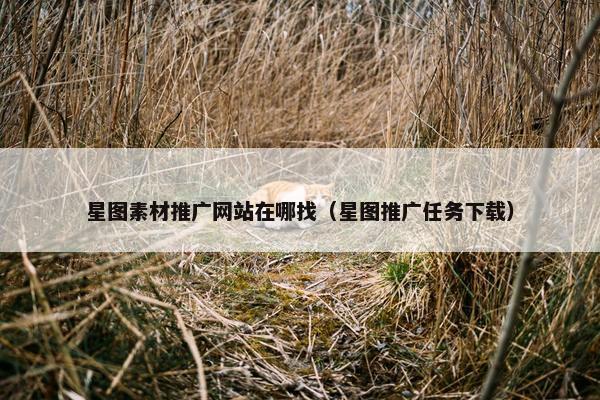 星图素材推广网站在哪找（星图推广任务下载）