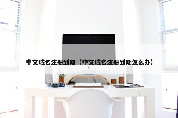 中文域名注册到期（中文域名注册到期怎么办）