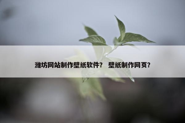 潍坊网站制作壁纸软件？ 壁纸制作网页？