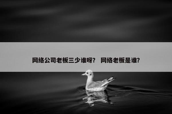 网络公司老板三少谁呀？ 网络老板是谁？