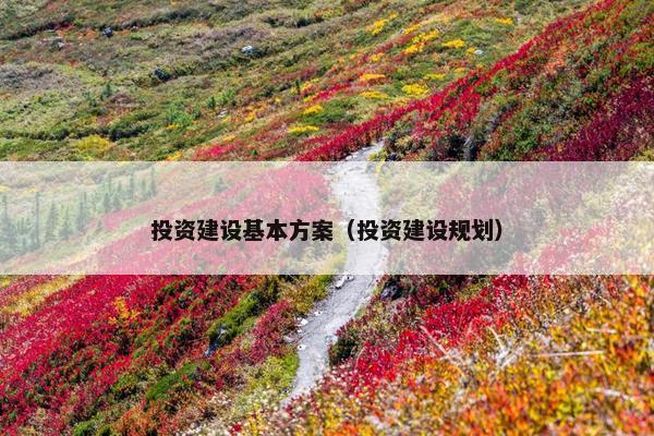 投资建设基本方案（投资建设规划）