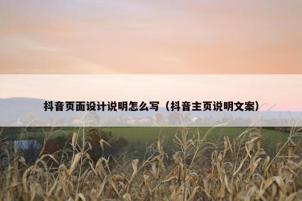 抖音页面设计说明怎么写（抖音主页说明文案）