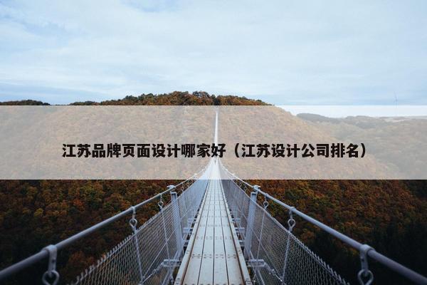 江苏品牌页面设计哪家好（江苏设计公司排名）