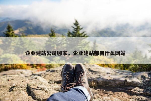 企业建站公司哪家，企业建站都有什么网站