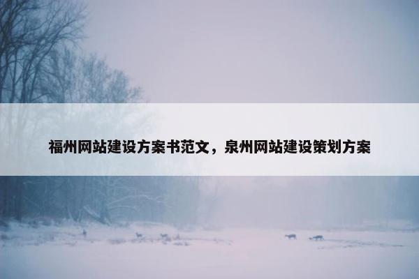 福州网站建设方案书范文，泉州网站建设策划方案