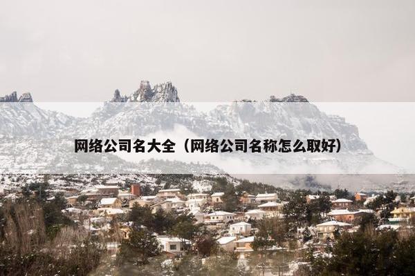 网络公司名大全（网络公司名称怎么取好）