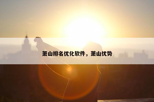 萧山排名优化软件，萧山优势