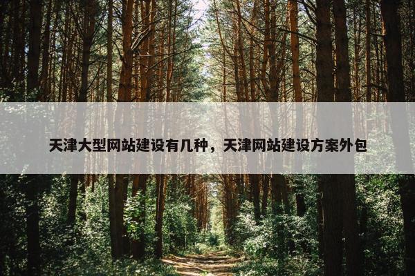 天津大型网站建设有几种，天津网站建设方案外包