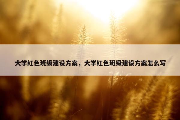 大学红色班级建设方案，大学红色班级建设方案怎么写