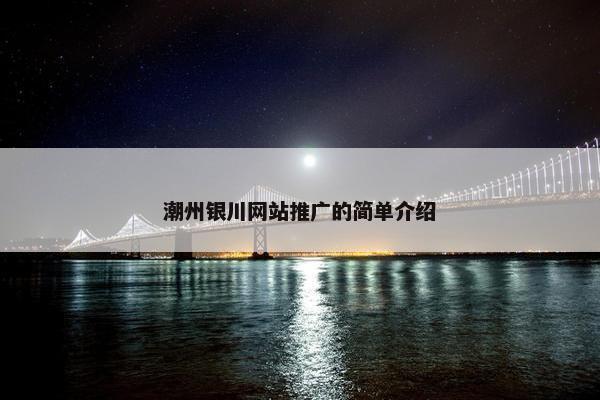 潮州银川网站推广的简单介绍