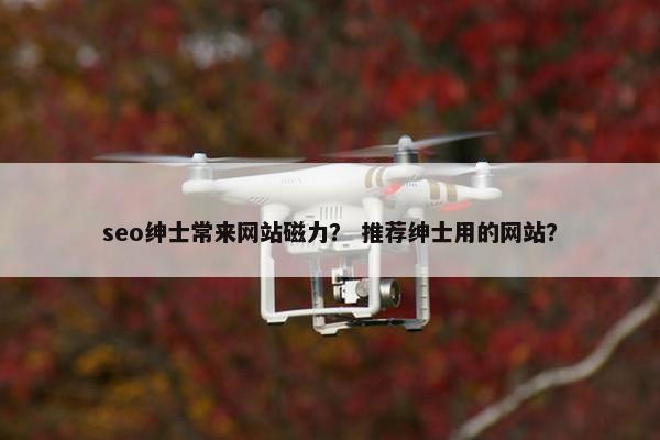 seo绅士常来网站磁力？ 推荐绅士用的网站？
