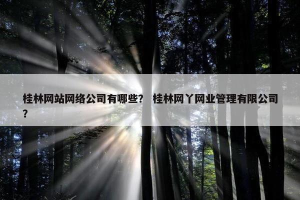 桂林网站网络公司有哪些？ 桂林网丫网业管理有限公司？