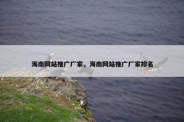 海南网站推广厂家，海南网站推广厂家排名