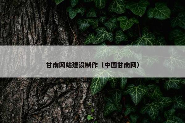 甘南网站建设制作（中国甘南网）