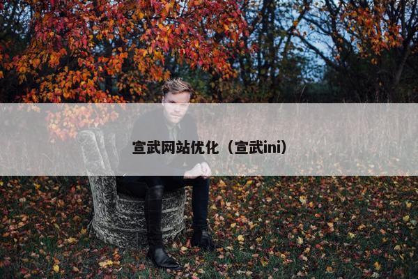 宣武网站优化（宣武ini）