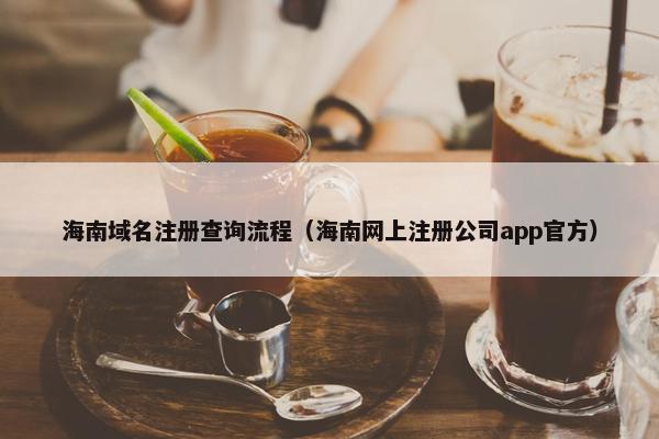 海南域名注册查询流程（海南网上注册公司app官方）