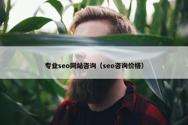 专业seo网站咨询（seo咨询价格）