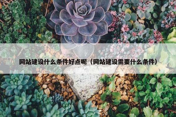 网站建设什么条件好点呢（网站建设需要什么条件）