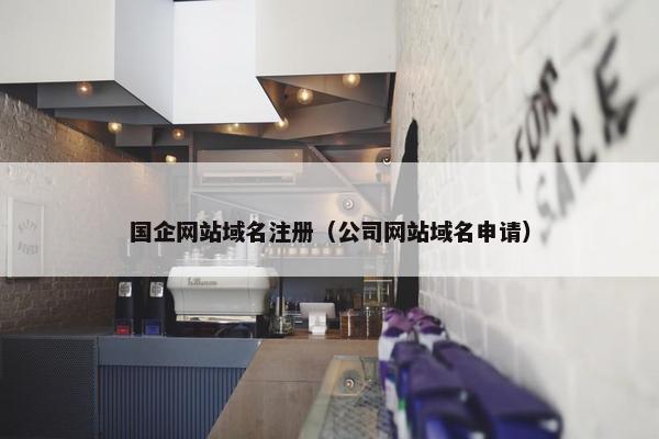 国企网站域名注册（公司网站域名申请）