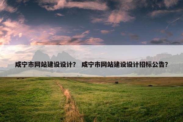 咸宁市网站建设设计？ 咸宁市网站建设设计招标公告？