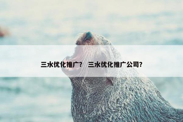三水优化推广？ 三水优化推广公司？