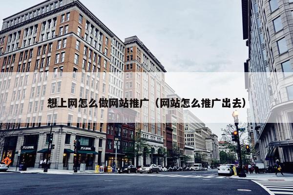 想上网怎么做网站推广（网站怎么推广出去）