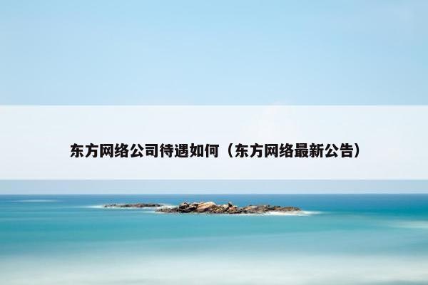 东方网络公司待遇如何（东方网络最新公告）