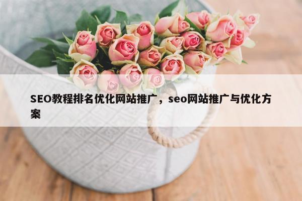 SEO教程排名优化网站推广，seo网站推广与优化方案