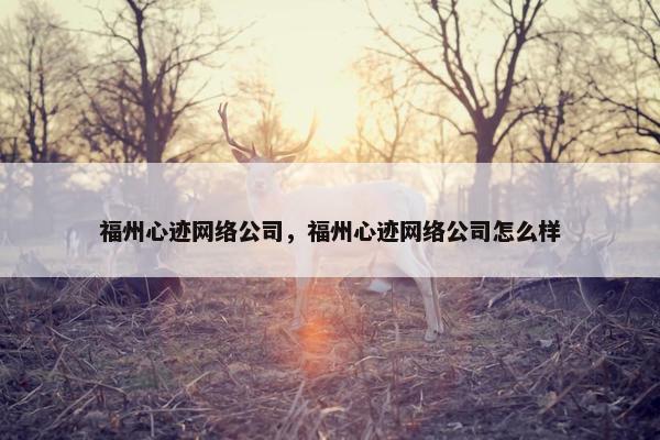 福州心迹网络公司，福州心迹网络公司怎么样