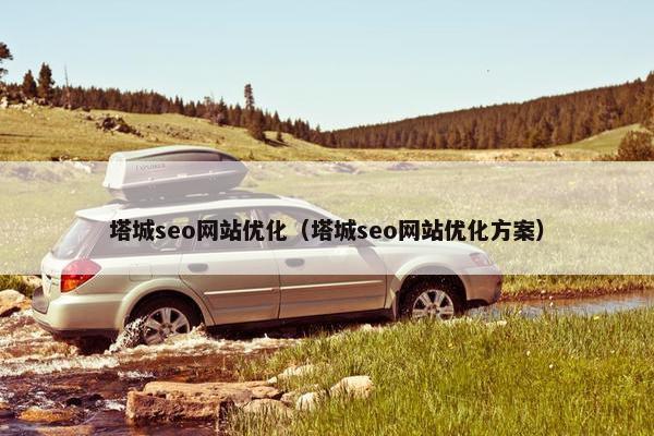 塔城seo网站优化（塔城seo网站优化方案）
