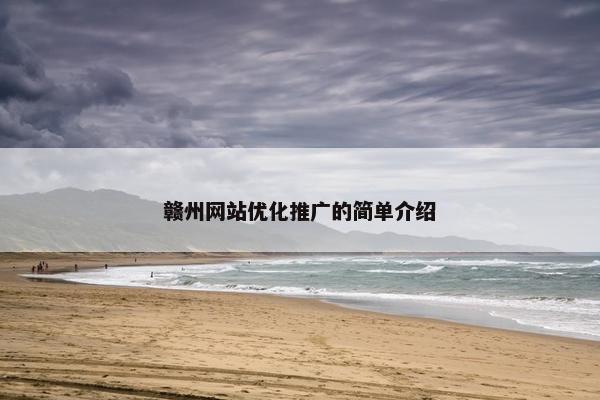 赣州网站优化推广的简单介绍