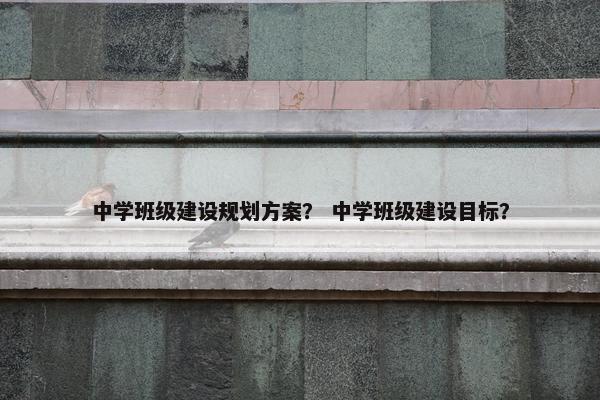 中学班级建设规划方案？ 中学班级建设目标？